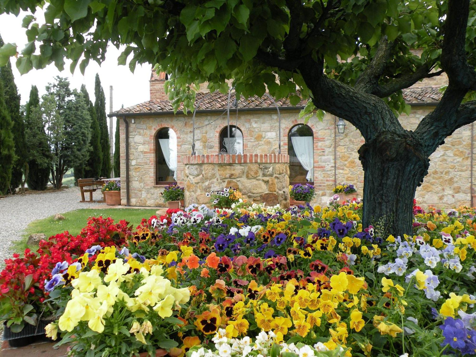 Agriturismo Bonello Pienza Kültér fotó