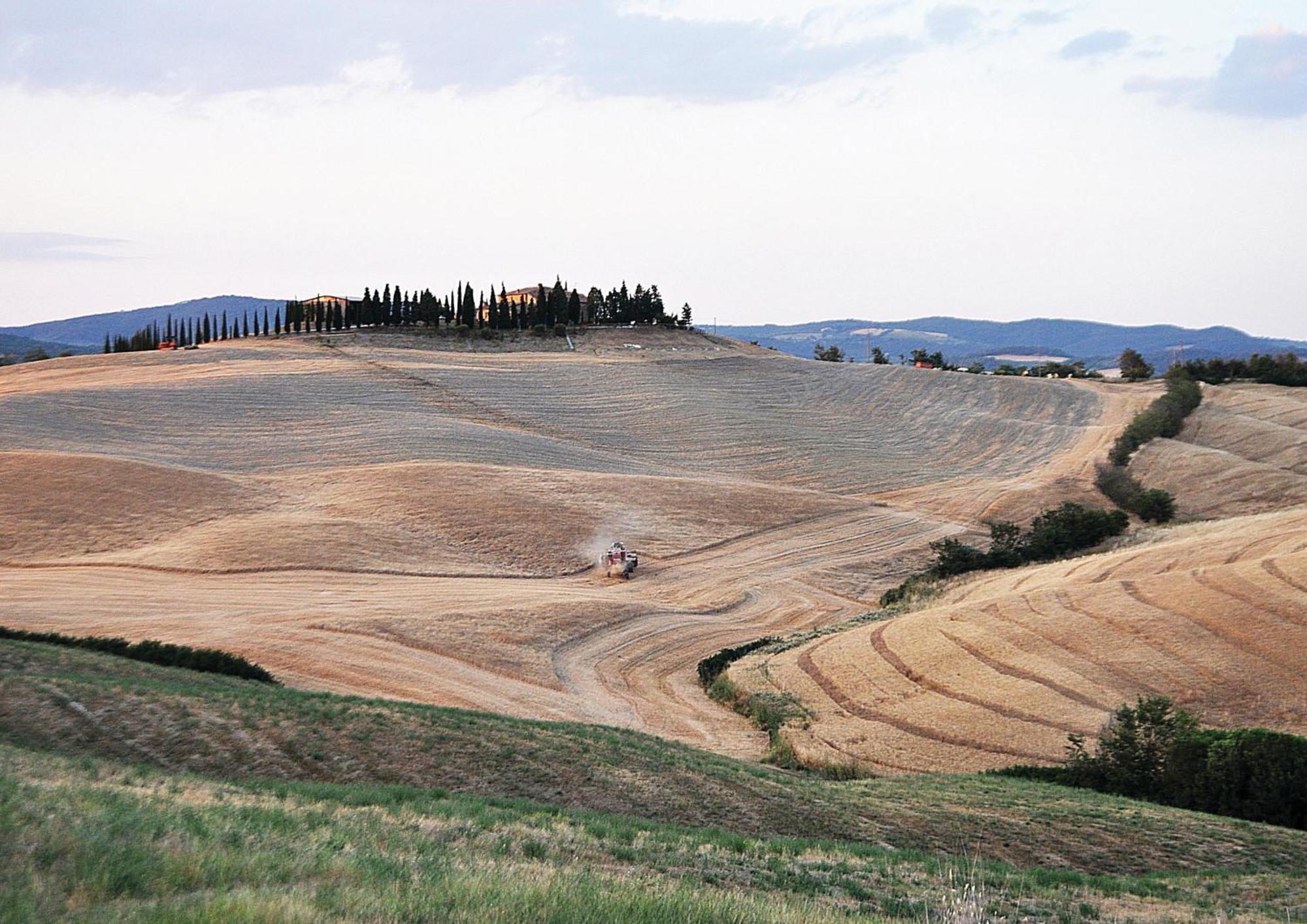 Agriturismo Bonello Pienza Kültér fotó